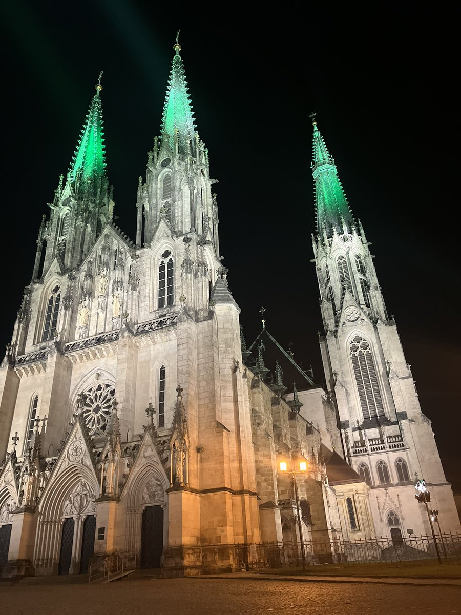 🐈‍⬛ Šupíto 🐅 tweet media