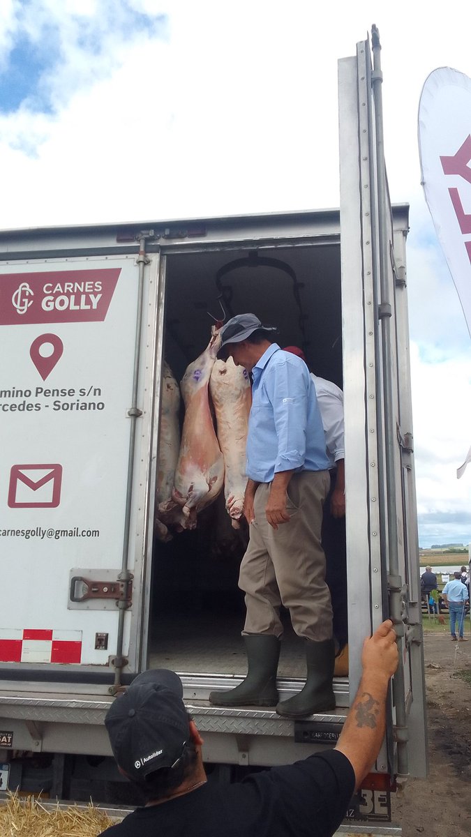 Fernando Otheguy tweet media