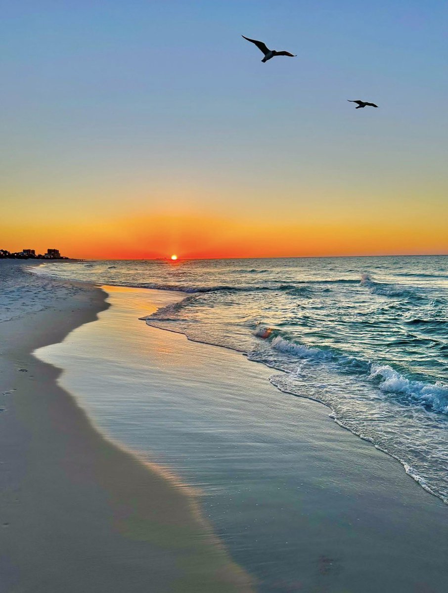 Amber Apinions tweet media