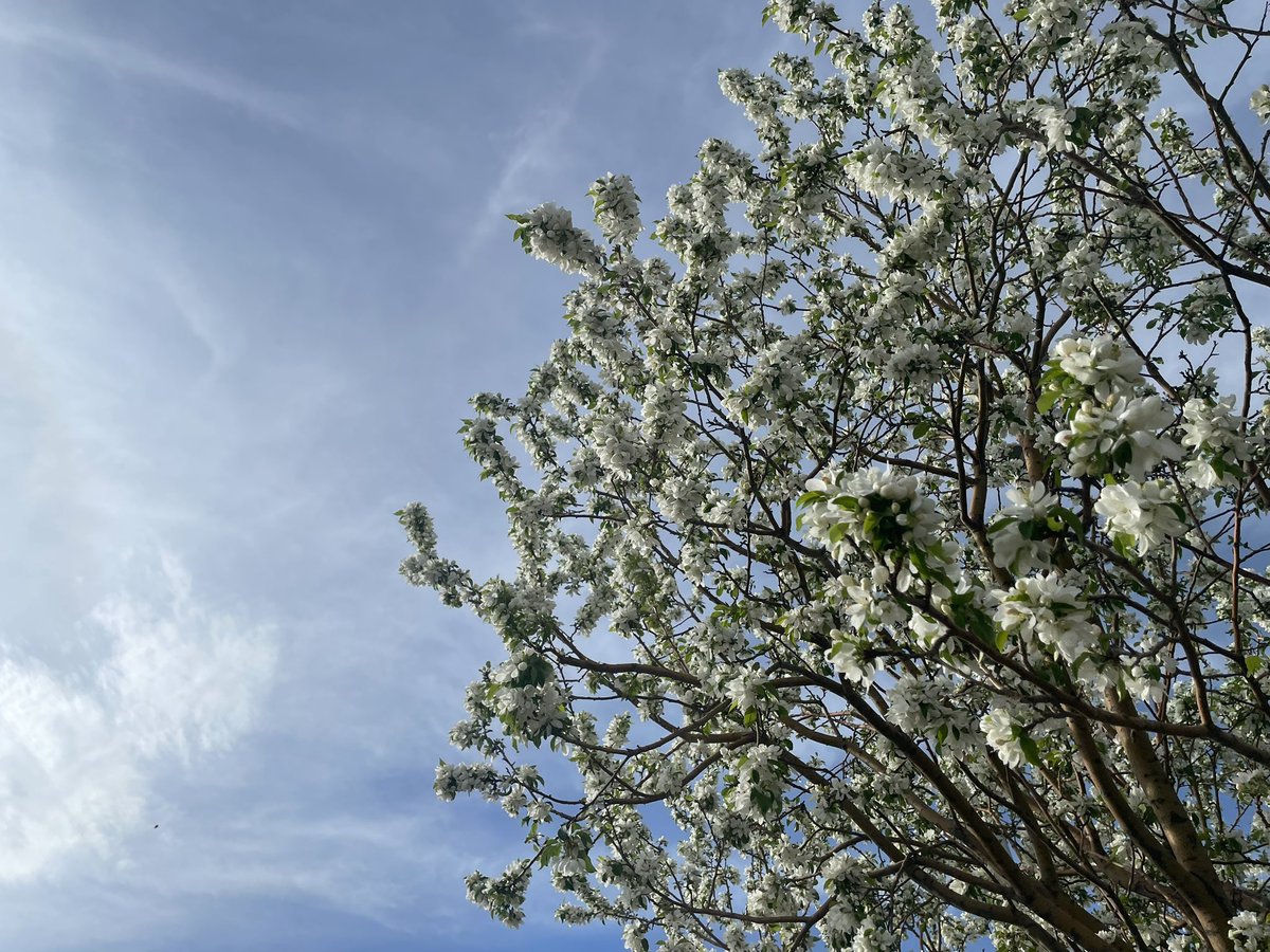 mikey 5.5 tweet media