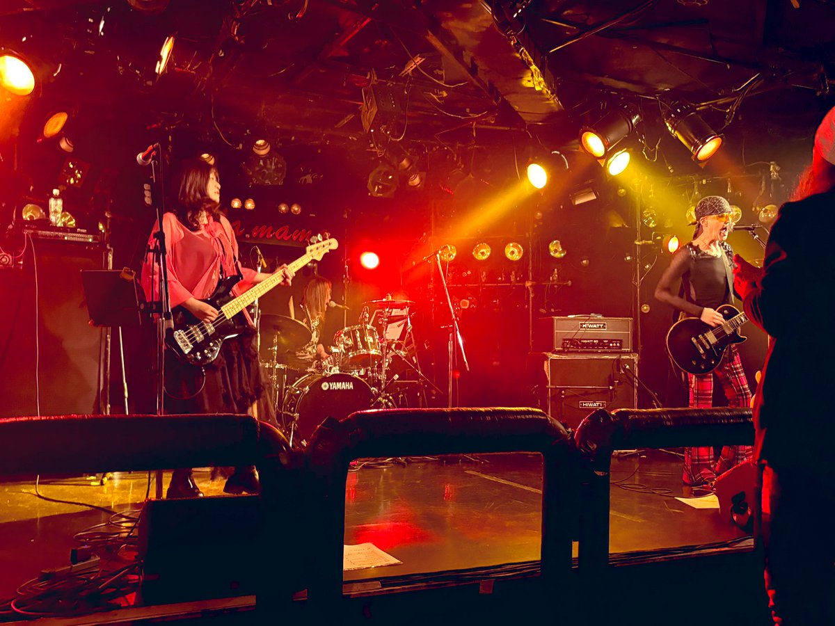 GOMASHIO tweet media