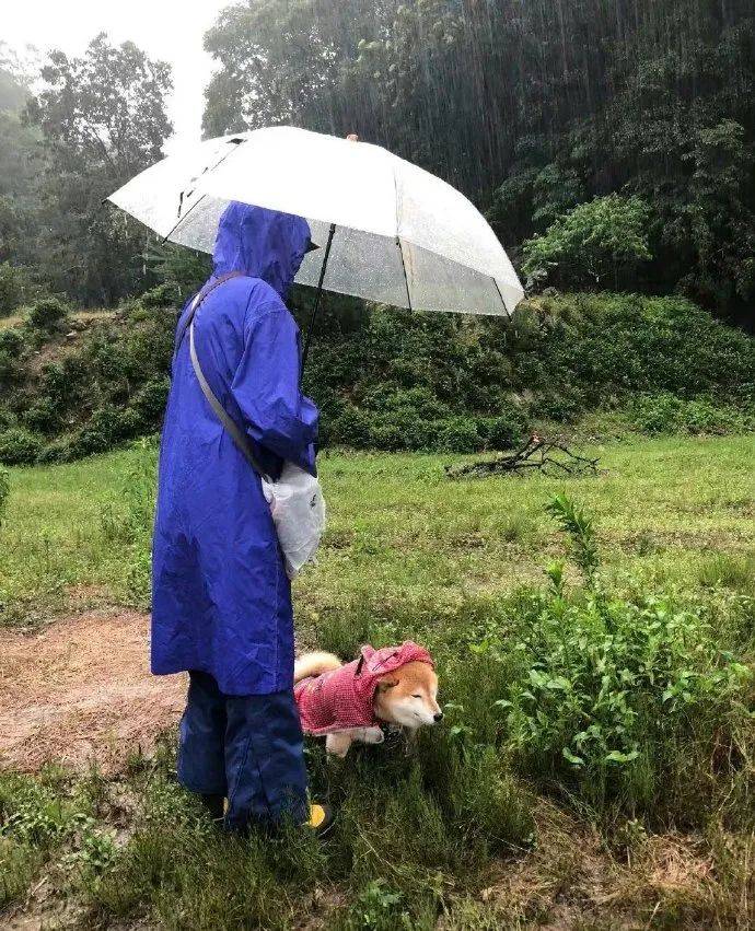 Pedro Ribeiro tweet media