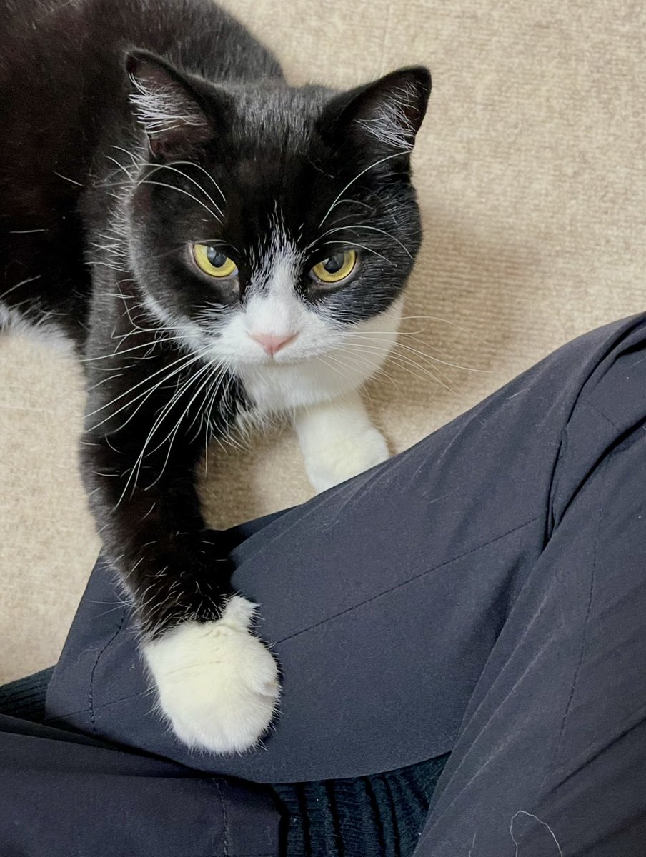 たろう tweet media