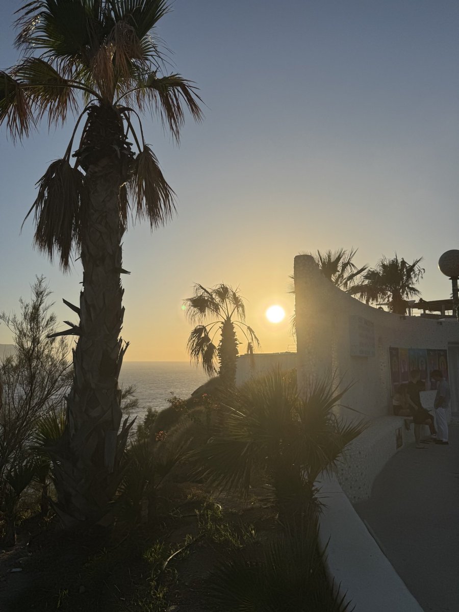 Susan1221 tweet media