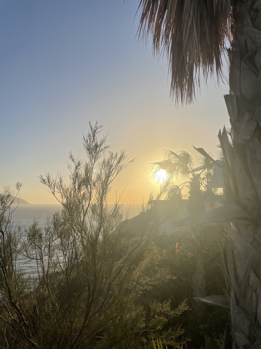 Susan1221 tweet media