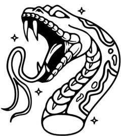 Sofia Ortiz tweet media