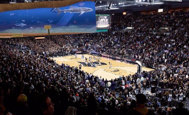 Man Cheetah tweet media