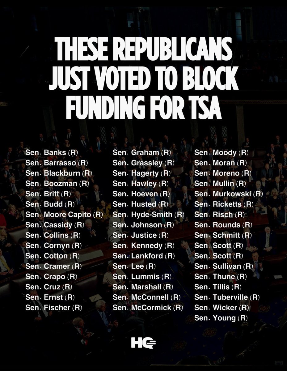 Meg Fairfax Fielding tweet media