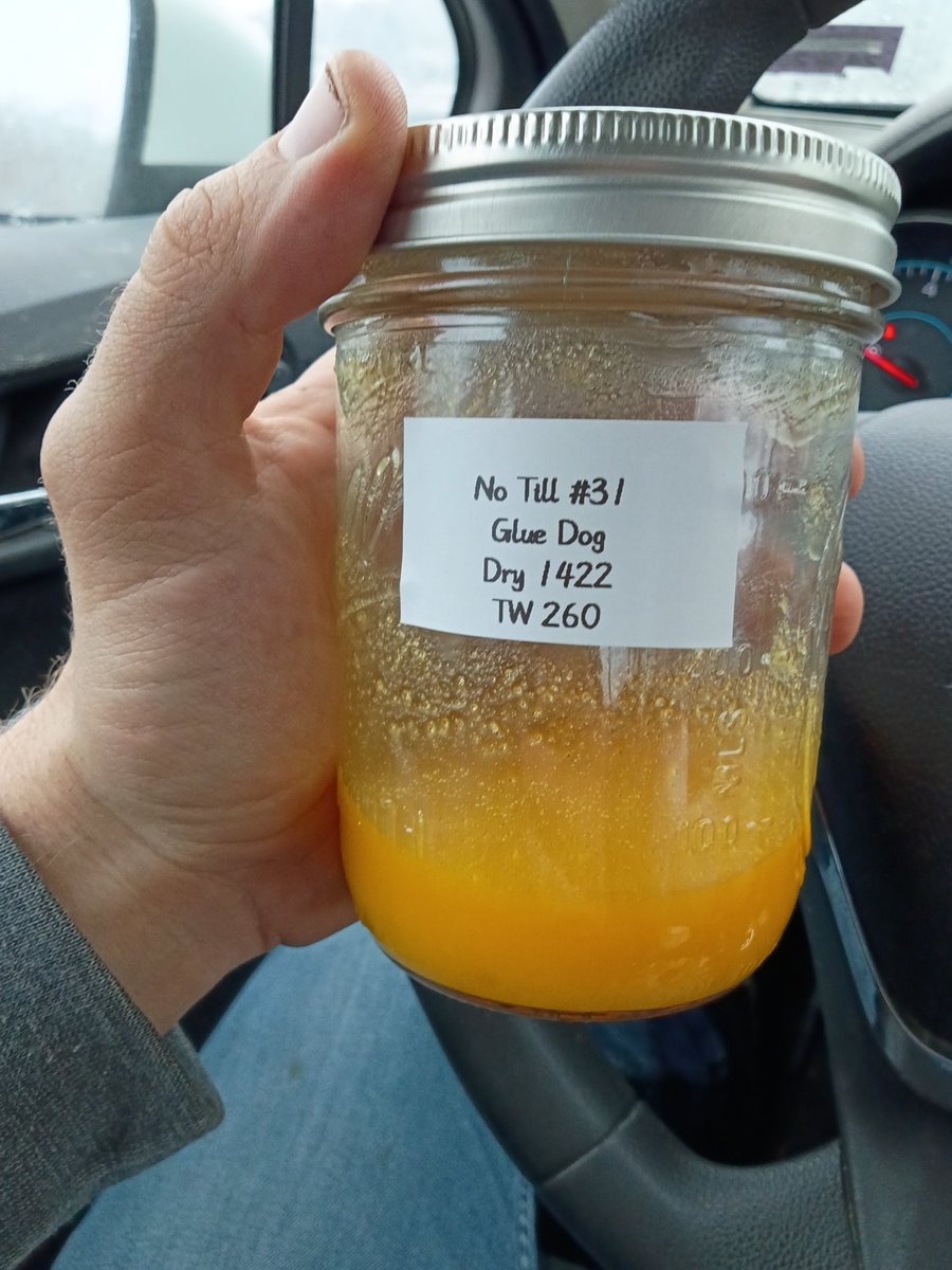 NoTill Roots tweet media