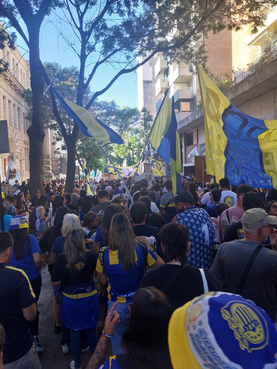 Luis 💙💛 +22 tweet media