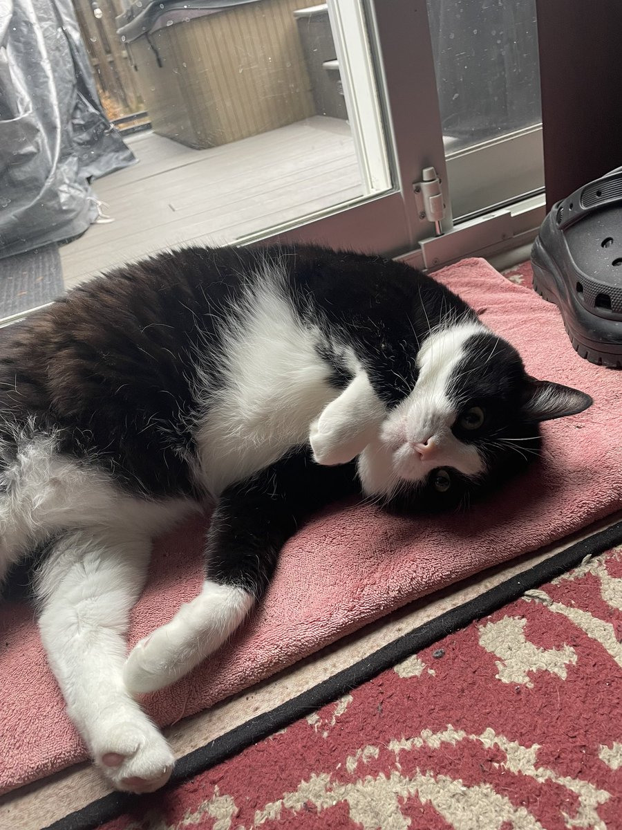 Tehani Mott, PMP (she/her) tweet media