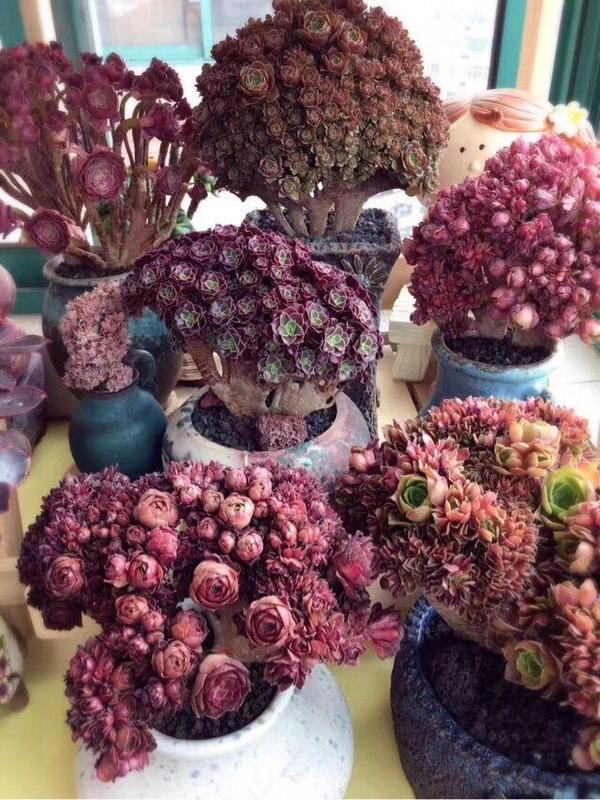 paulhattersley tweet media