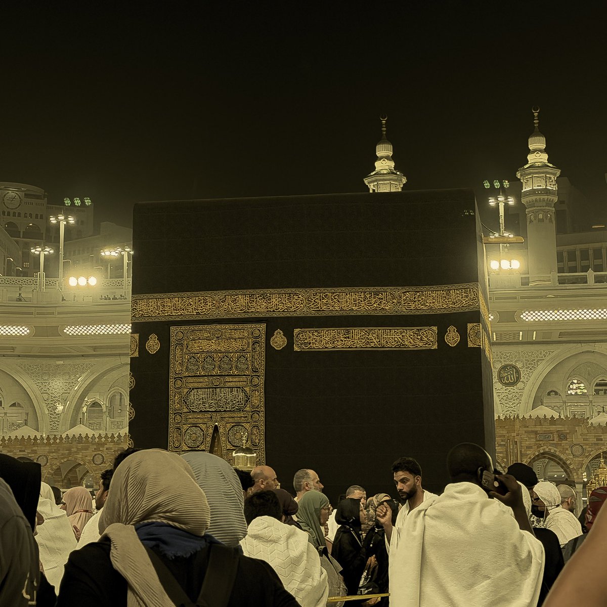 perpetually lost tweet media