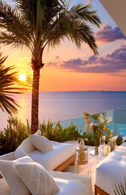 Susan1221 tweet media