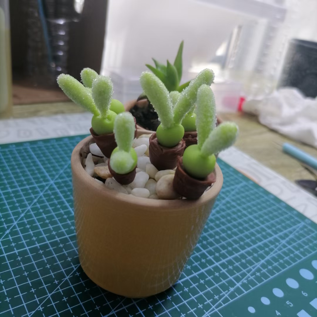 mary grace dizon tweet media