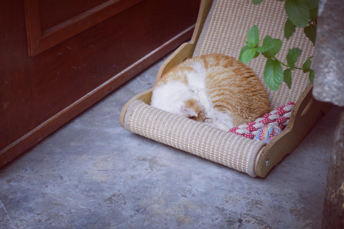 Nhick Fantonial tweet media