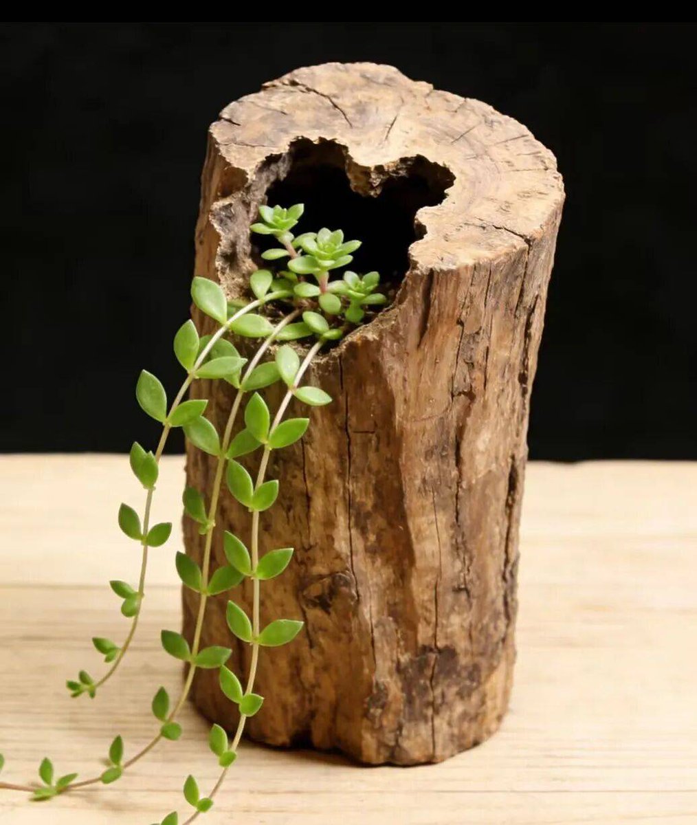 Brandon Phillips tweet media