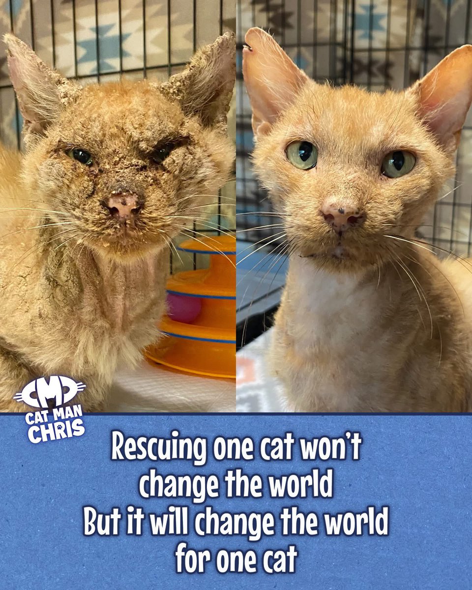 Cole & Marmalade tweet media