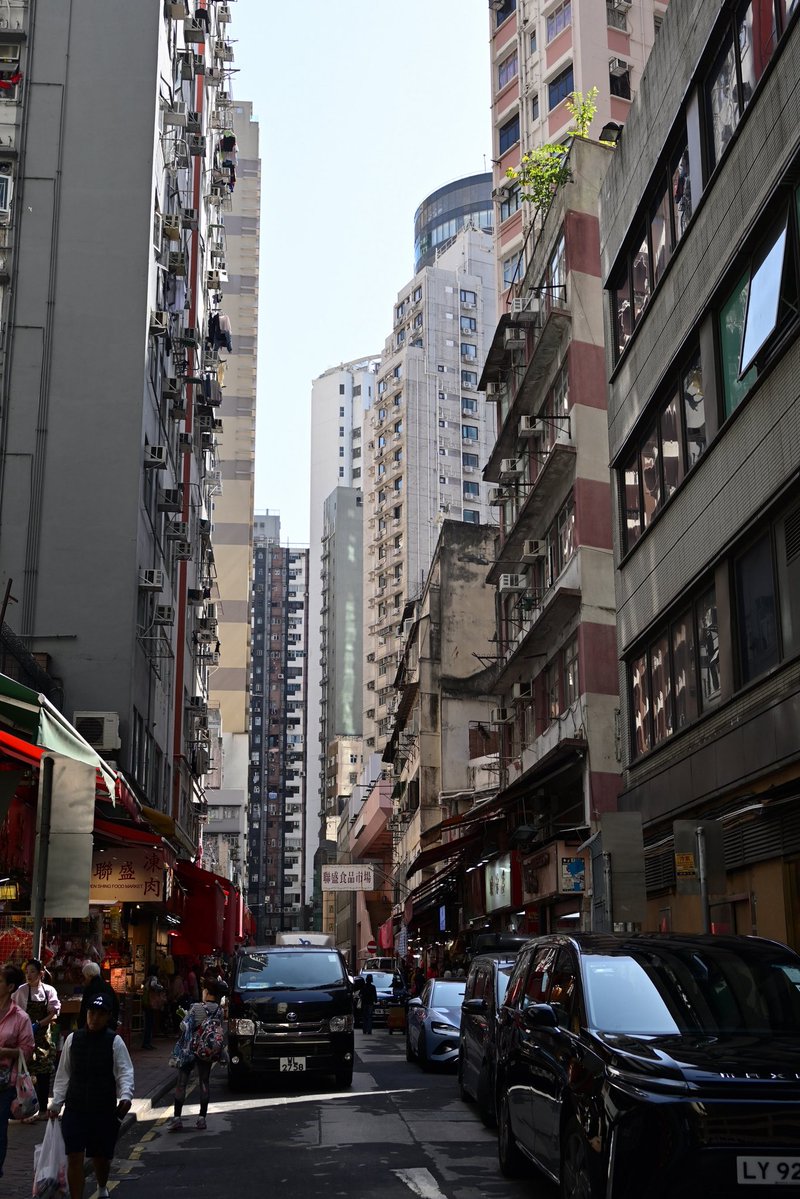 佐敦哥哥 tweet media