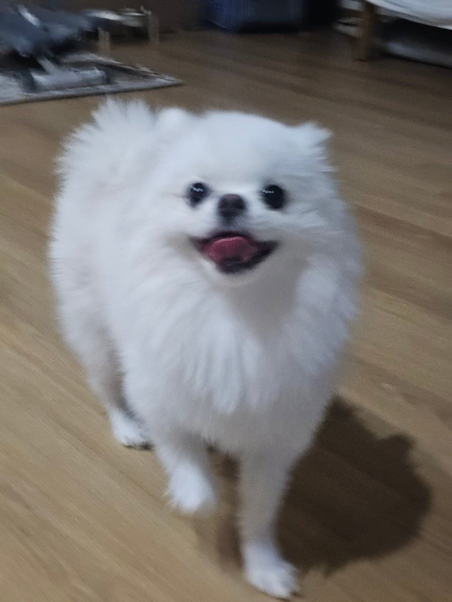 두르강튀아 tweet media