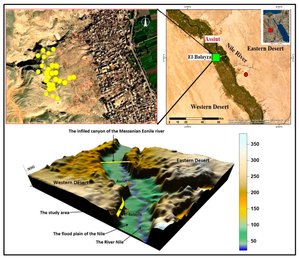 Jimmy Corsetti tweet media