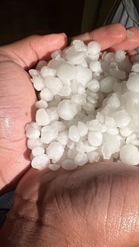 قورجس tweet media