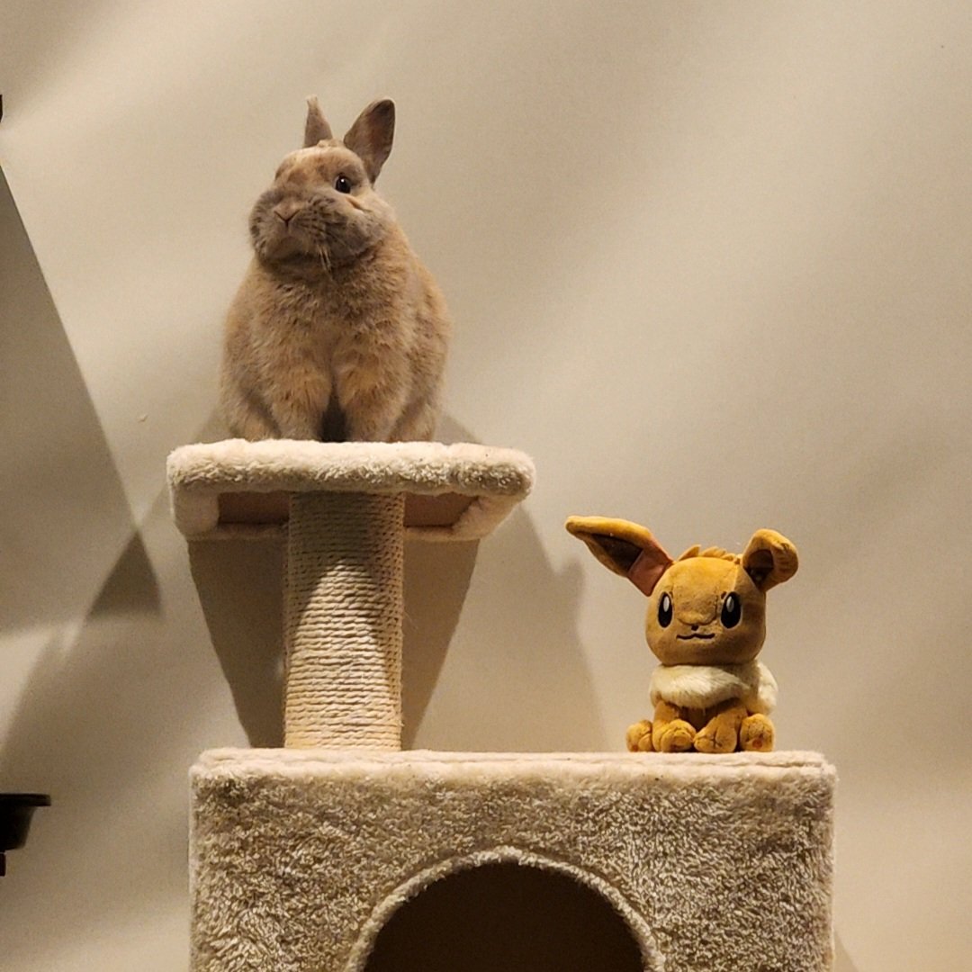 T7ふぉんNP tweet media