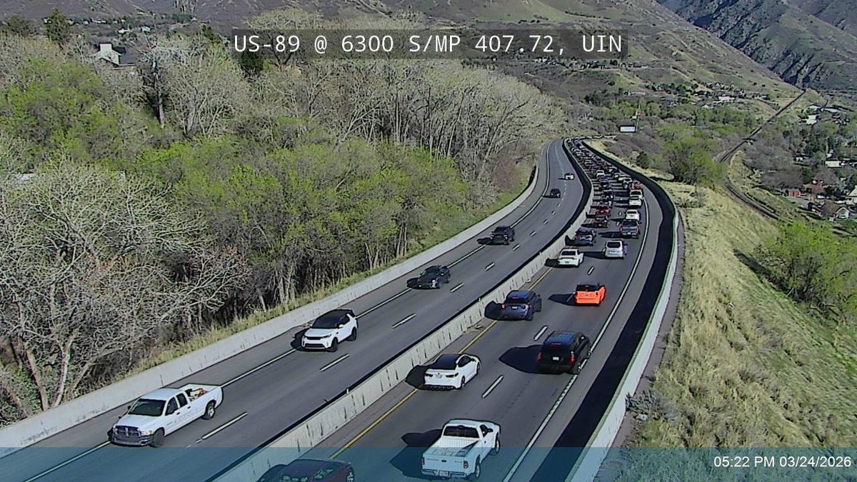 Rikki Meece tweet media