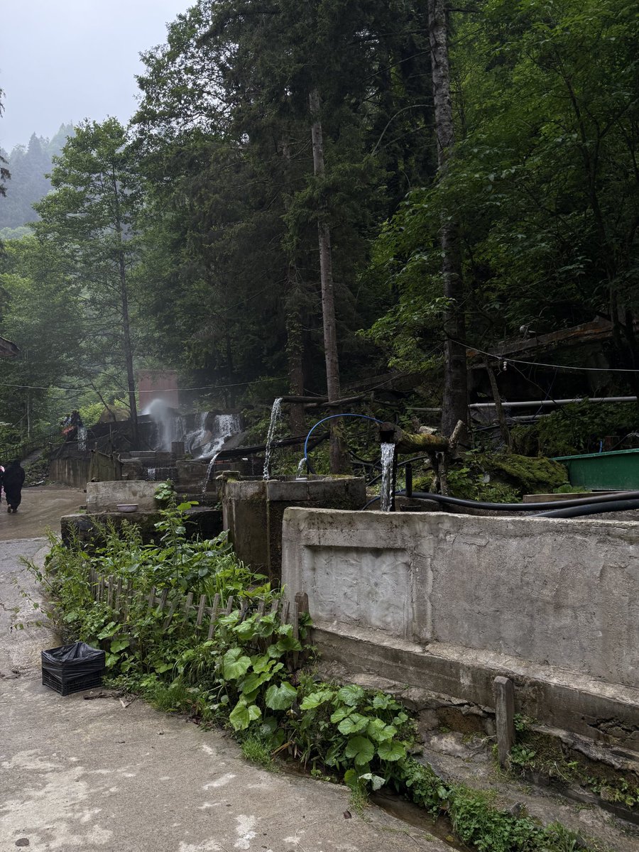 رِناد 𓋼 tweet media