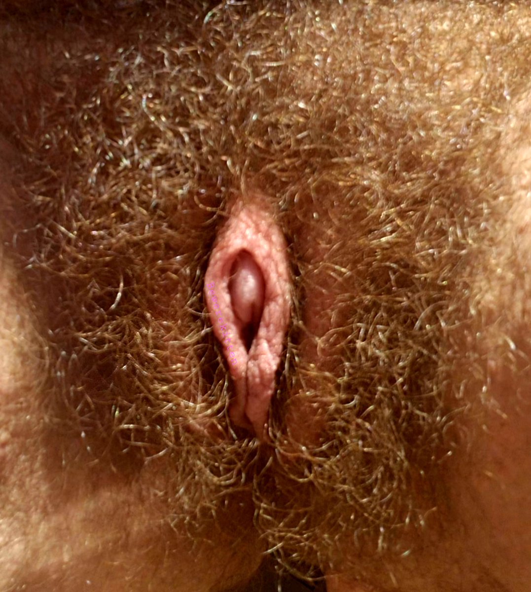 Bewerekittenoir tweet media