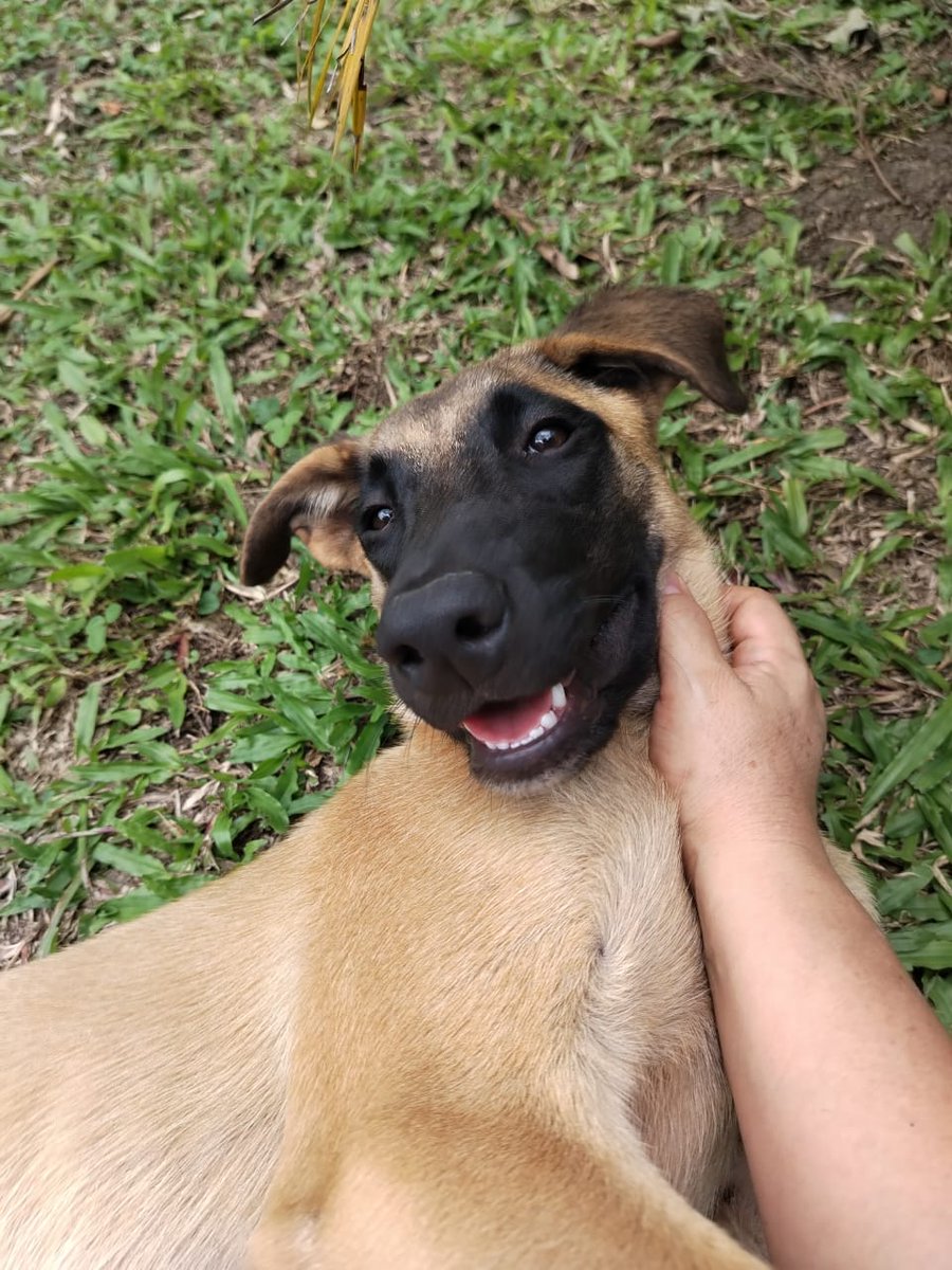 Fundación San Roque tweet media