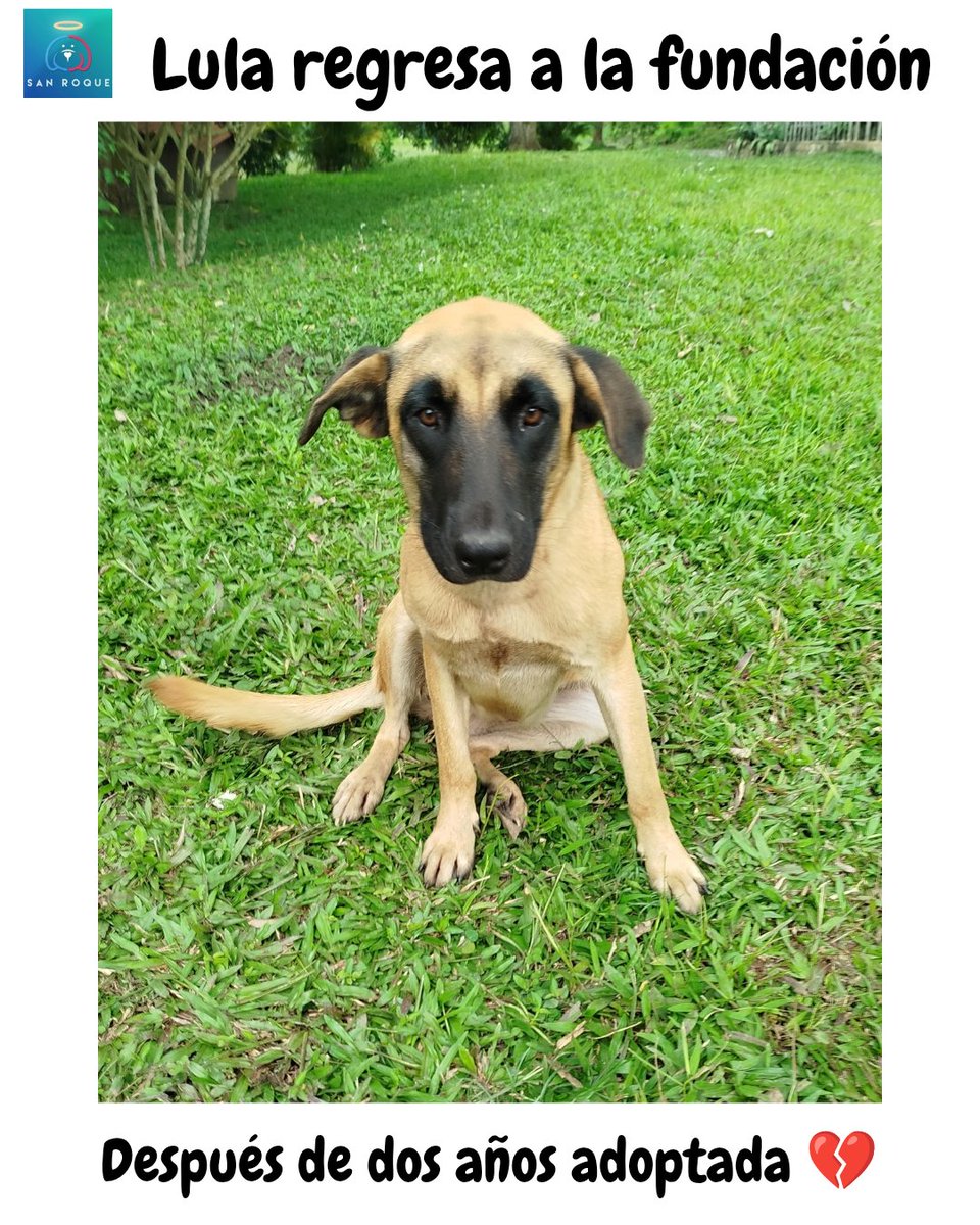 Fundación San Roque tweet media