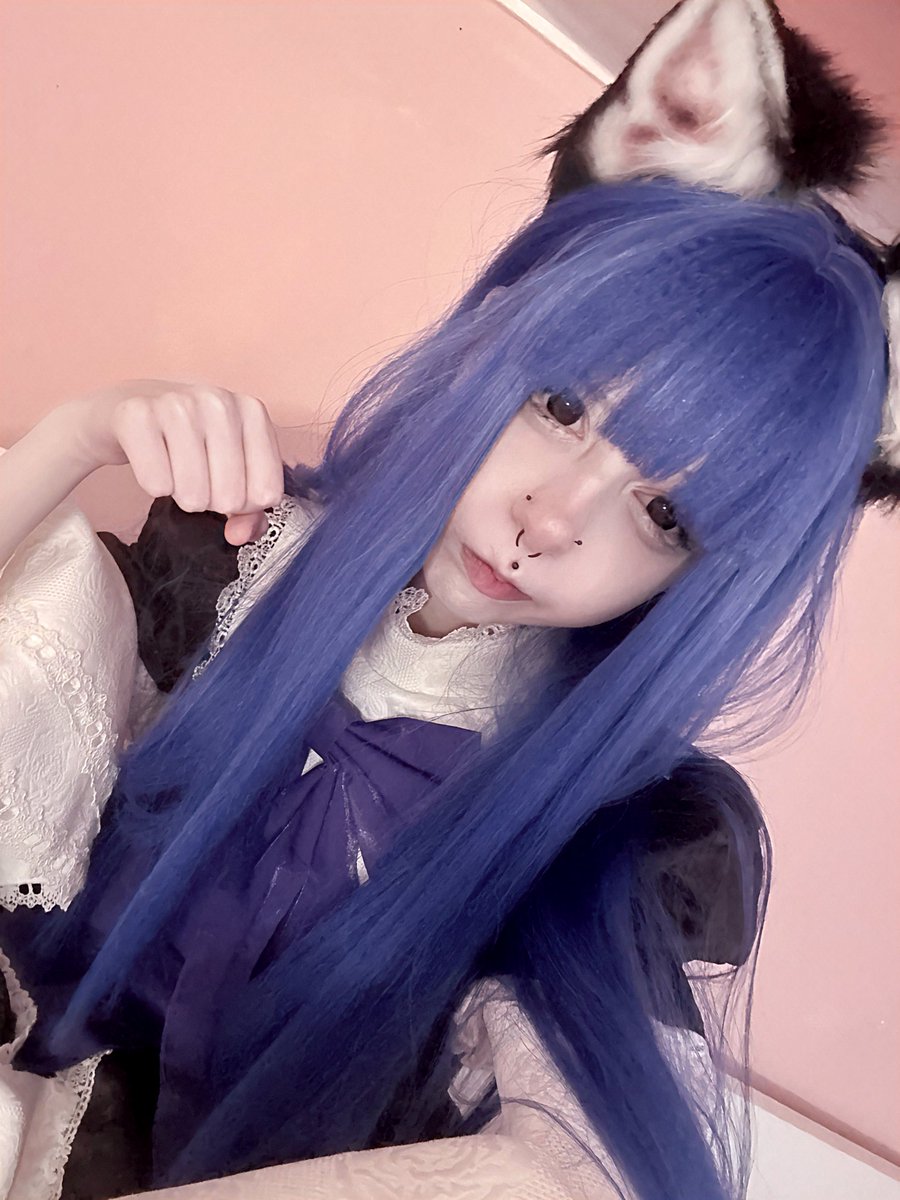 mew (^..^)ﾉ tweet media