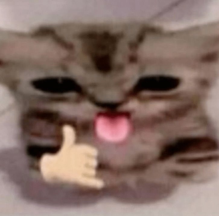 ˙˚ ᕱ⑅ᕱ ɞ˚˙ tweet media