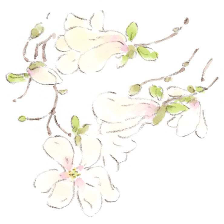 ほっこりデザイン tweet media