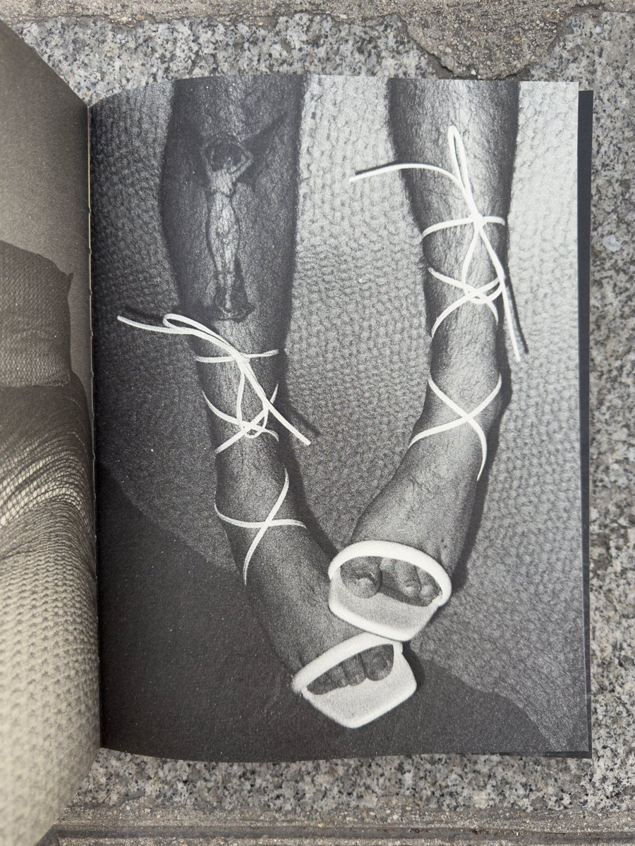 Motto Books tweet media