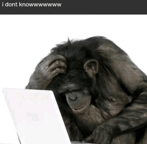 flip / angel tweet media