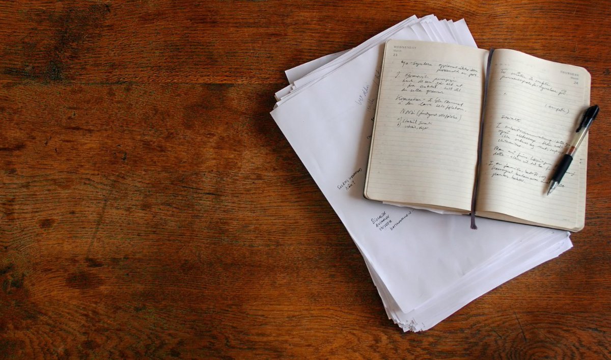 Cacca Gialla tweet media