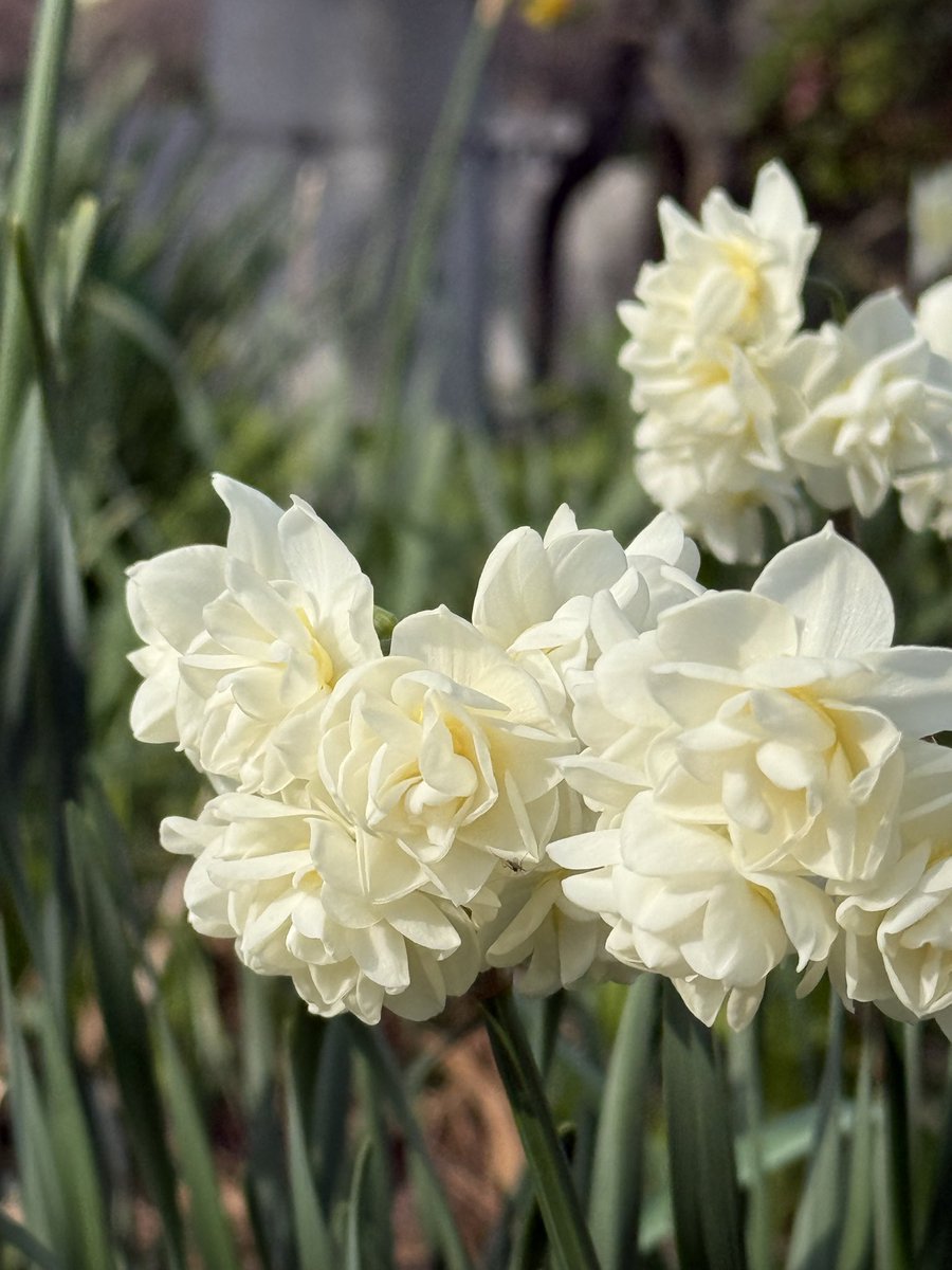 🎌🐳🐬🦀丹沢🍚鮎太郎🦐🐠🐋🎌 tweet media