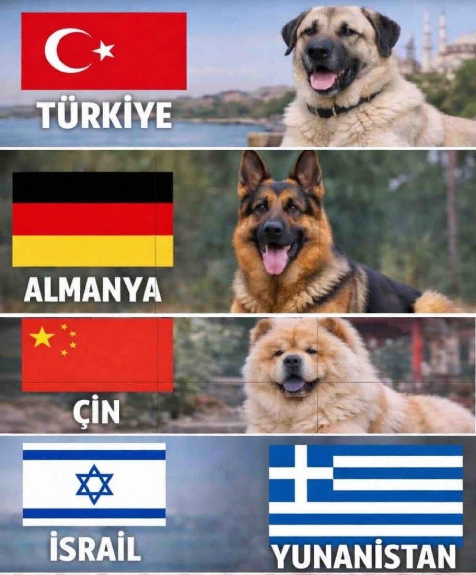 🇹🇷🐺YALNZKURT🐺🇹🇷 tweet media