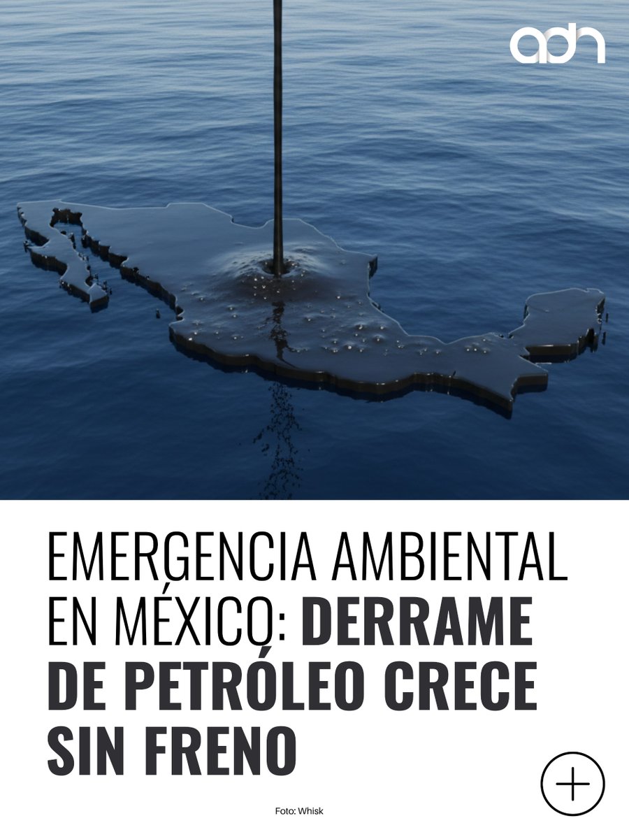 adn Noticias tweet media