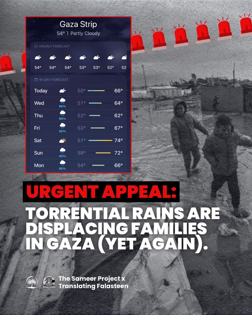 The Sameer Project tweet media