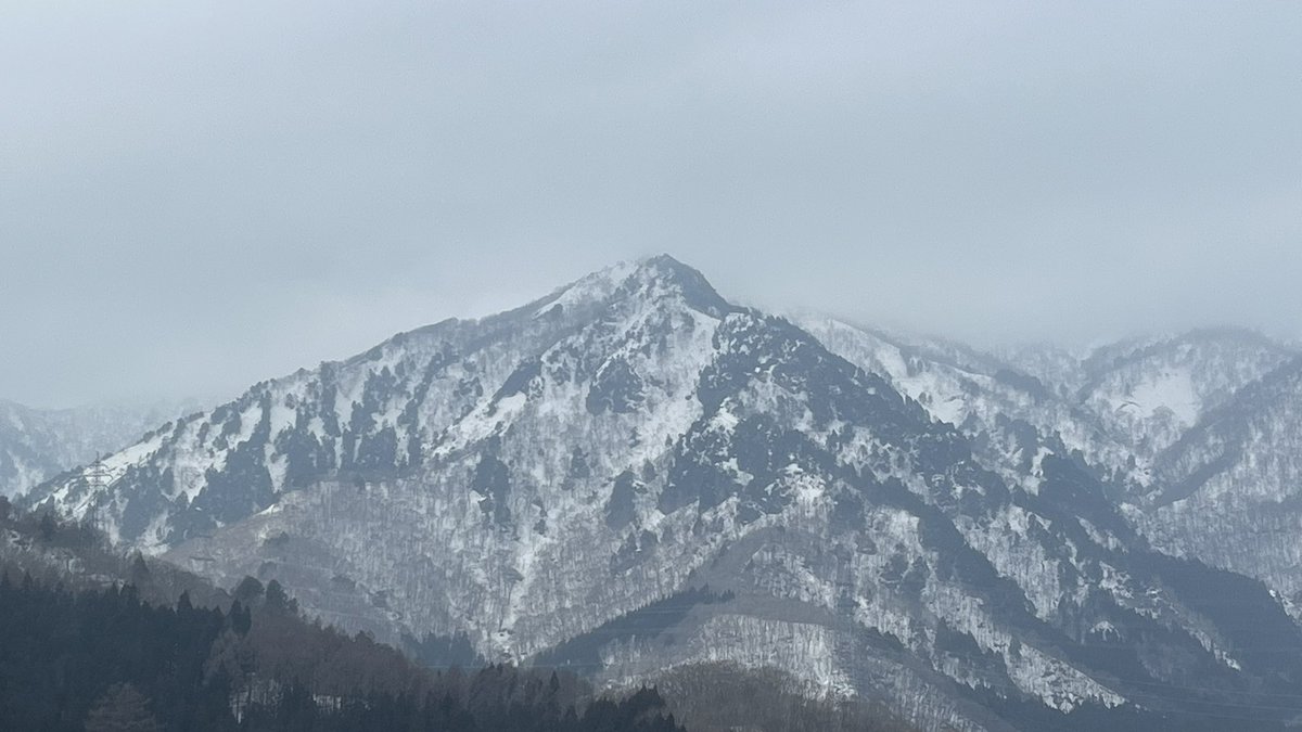 Office Iwano（オフィス石野）【公式】 tweet media