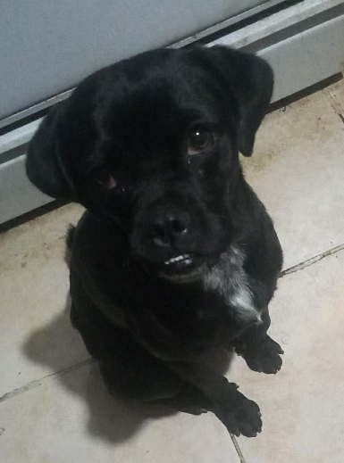 Juan Carlos Valerio tweet media