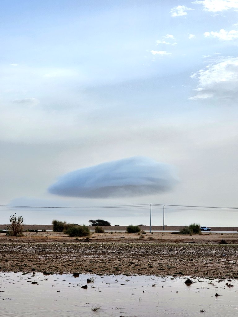 يحيى اليحيى ‎‎‎‎‎ tweet media