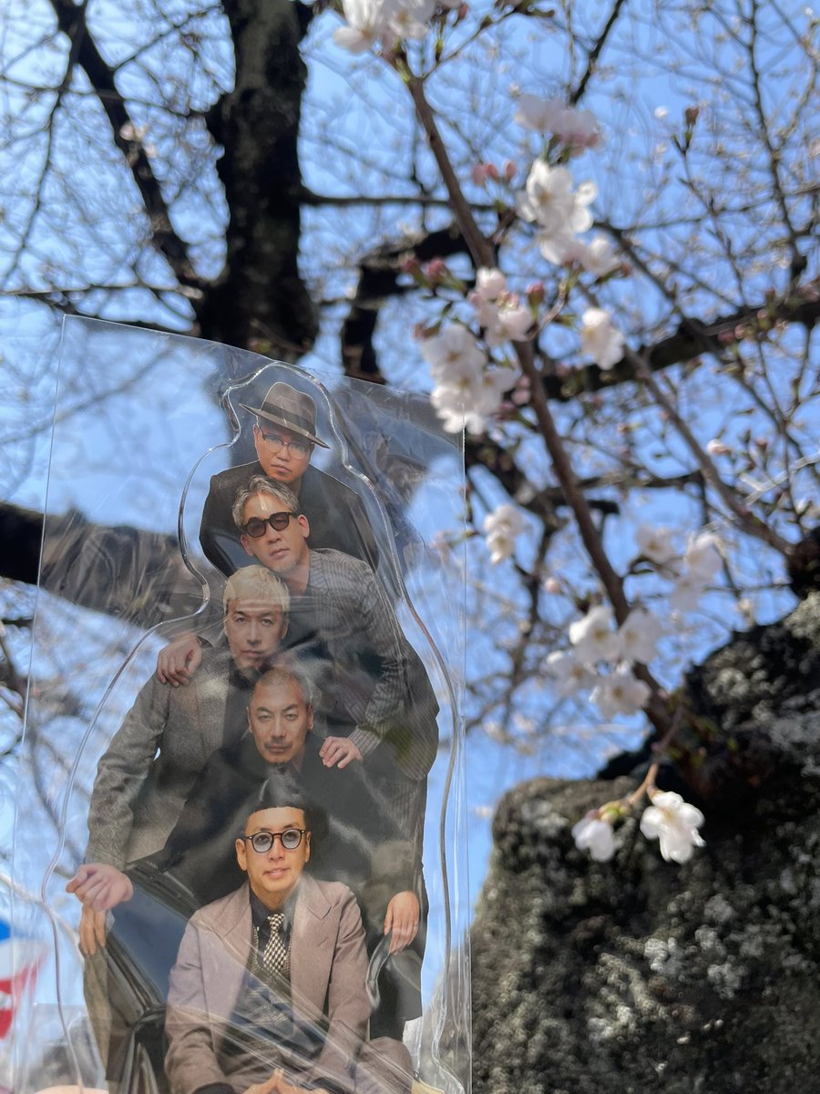 はるきち tweet media