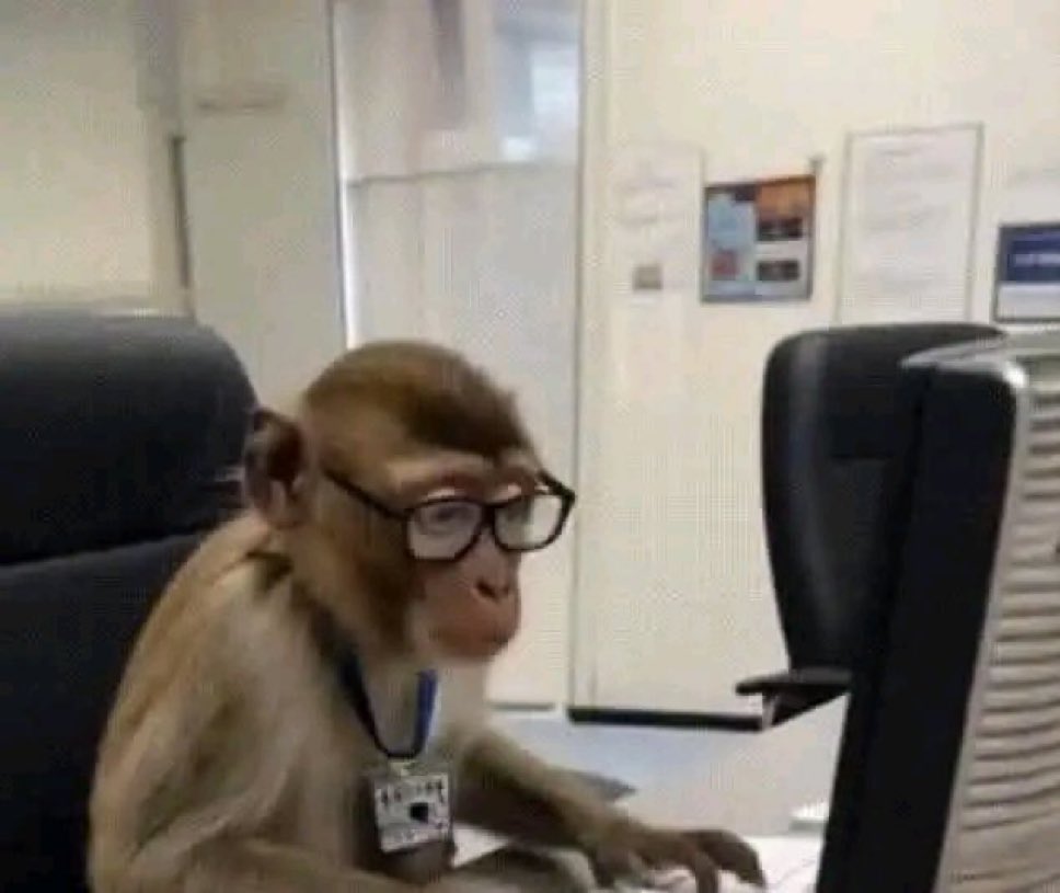 ‏𝗜𝗠𝗔𝗚𝗜𝗡𝗘 tweet media