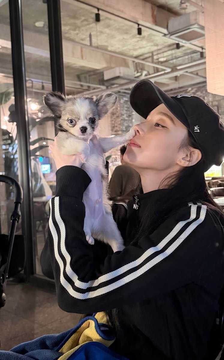 ˚✩delia˳✧🍏 #1 winjoy stan! tweet media