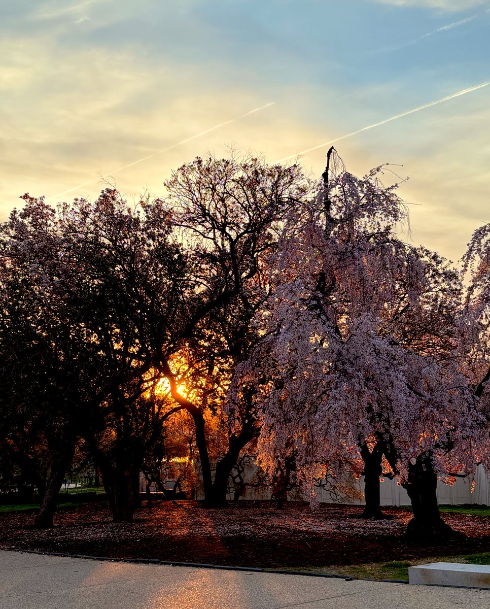 More of this beautiful DC evening <a href="/capitalweather/">Capital Weather Gang</a> <a href="/weatherchannel/">The Weather Channel</a>