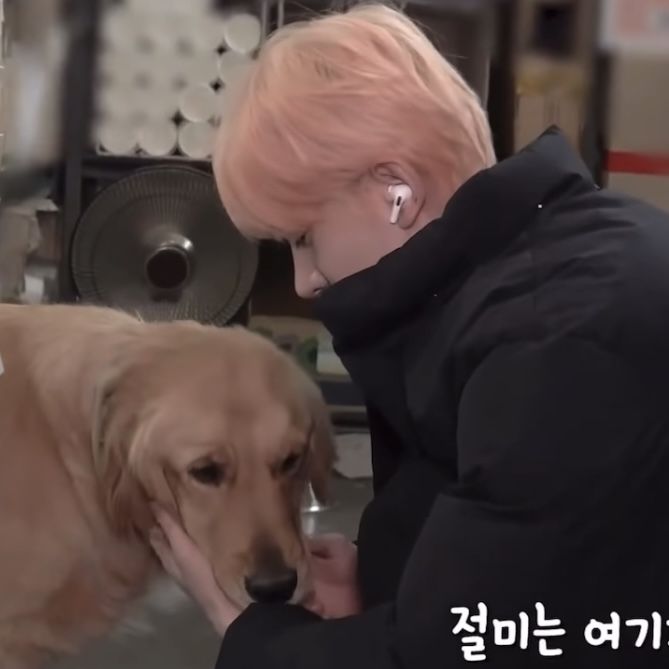 heestanforenhy's tweet photo. DEJAD VUESTRA ONOMATOPEYA DE VUESTRO ANIMAL FAVORITO Y LOS TAGS⬇️

#ENHYPEN_ALWAYS_7
#HEESEUNG_Belongs_With_ENHYPEN https://t.co/7vjbueJBX7
